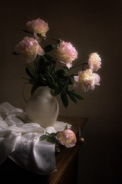 Peonies / 2017