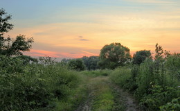 Die Straße im Sommer / ***