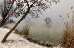 The fog over the water / ***