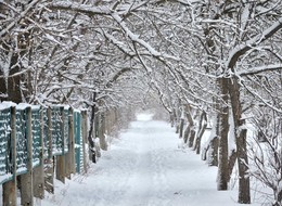 After snowfall / ***