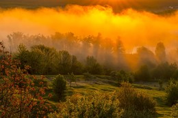 Fog / ***