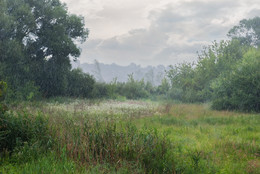 Diese Sommerregen ... / ...