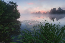 Sleepy Morgen. / ***