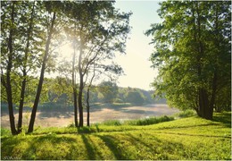 Summer morning / ***