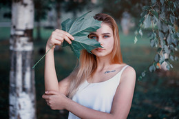  / ***