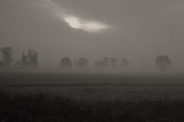 Dawn / ***