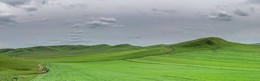 Hills / ***