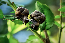 Treffen / ***
