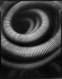 worm / pinhole