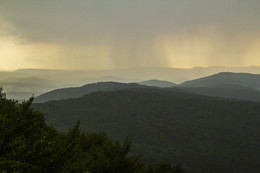 Rain / ***