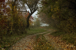 Herbst / ***