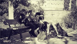 afternoon snack / ***