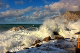 surf / ***