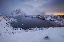 Reine / ***