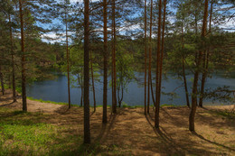 In forest / ***