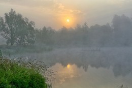 good morning! / ***
