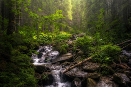 Carpathians / ***