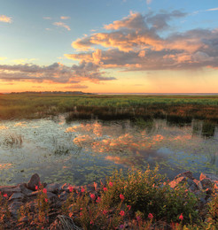 On the sunset / ***