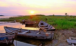 Boote / ***