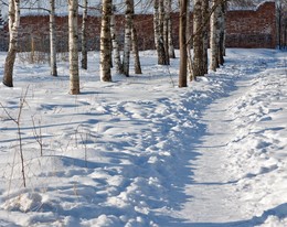 Winter- Skizze. / ***