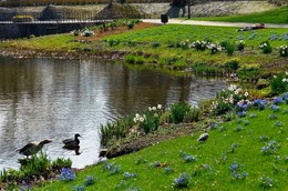&nbsp; / Hamburg. Planten un Blomen