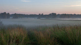 Morgendämmerung / ***