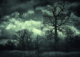 &nbsp; / http://www.youtube.com/watch?v=6lnwYWppkbo