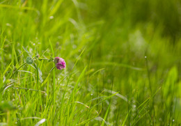 Morgen beginnt ... / °°°