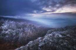 Warm Cold / ***