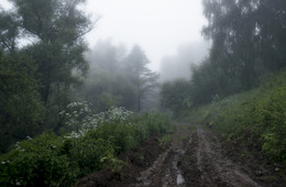 After the rain / ***