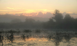 At dawn / ***