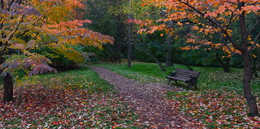 *Autumn sketch** / ***