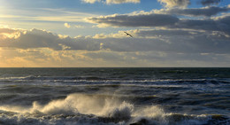 Baltic Sea / ***