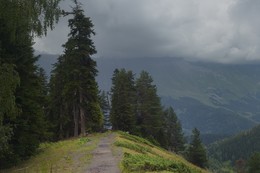 In the mountains / ***