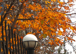 *Autumn sketch** / ***