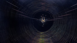 Labyrinth / ...