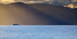 Oh, the white ship ... / ***