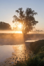 At dawn / ***