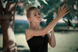  / ***