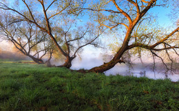 about spring / ***