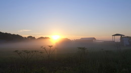Fog at dawn. / ***