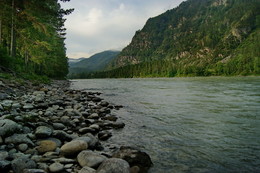 Am Ufer des Katun / ...