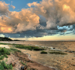 at Bay / ***