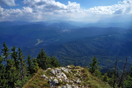 Carpathians / ***