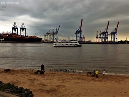 &nbsp; / August 2018