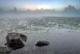 die Dämmerung ... / ***