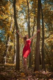 Im Wald / ***