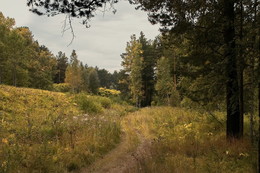 At the end of summer / ***