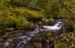 the approach of autumn / ***
