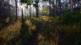 August morning / ***